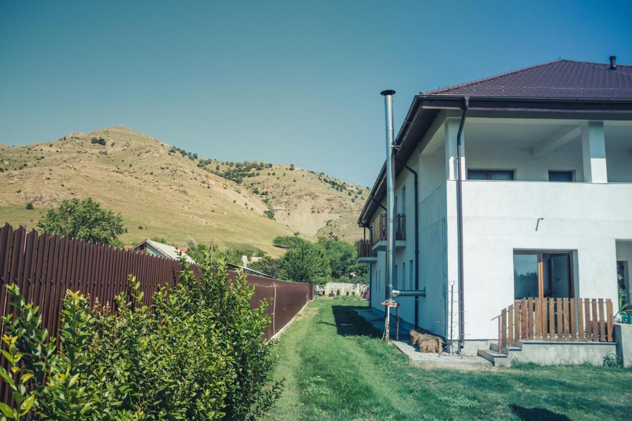 Pensiunea La Nenea Iancu Greci Exteriör bild