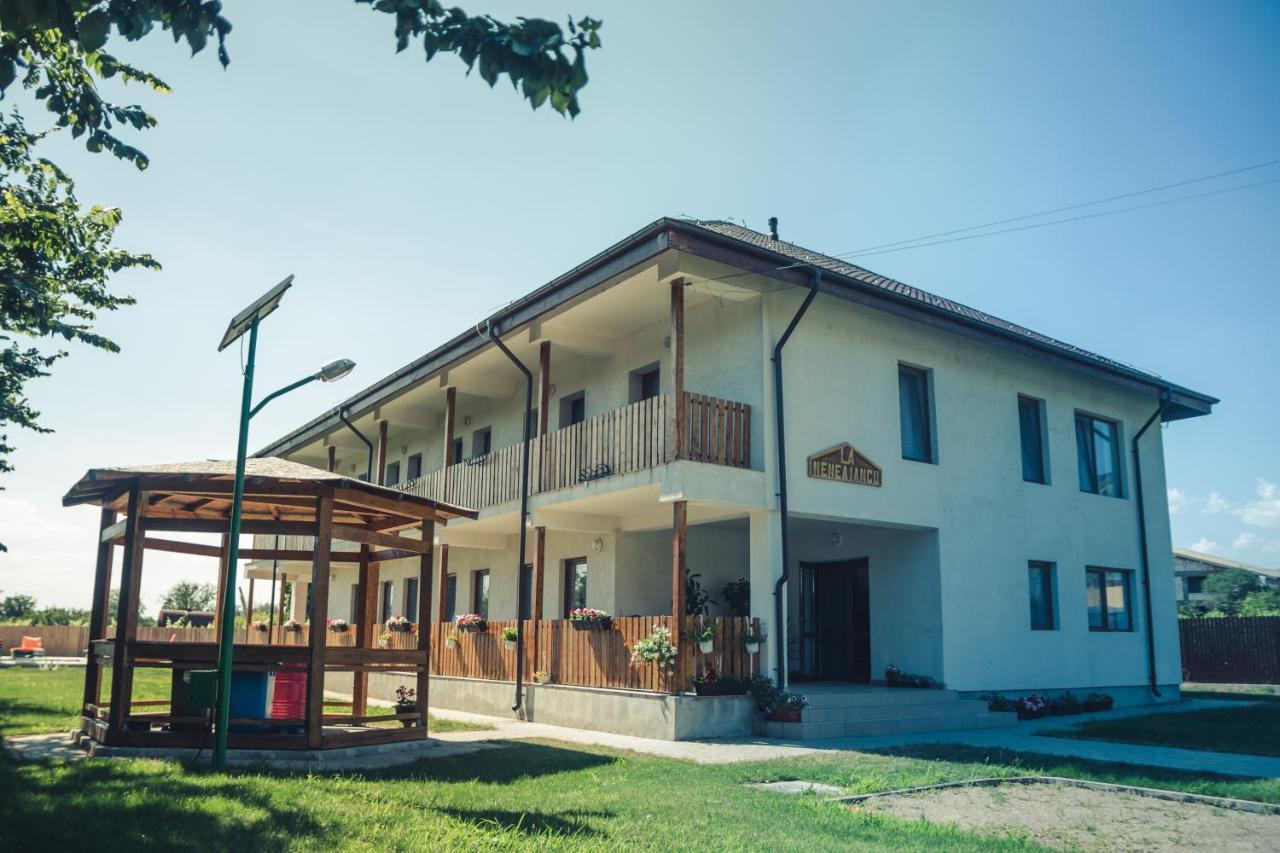 Pensiunea La Nenea Iancu Greci Exteriör bild